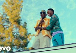 SPINALL Loju Video