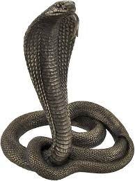 King Cobra