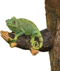 chameleon tree hugging