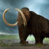 Extinct Animals That Lived on Earth