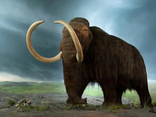 Extinct Animals That Lived on Earth