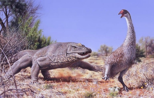 Megalania