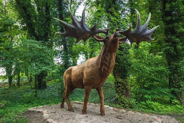 Irish Elk