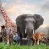 20 Unbelievable Facts About Animals