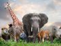 20 Unbelievable Facts About Animals