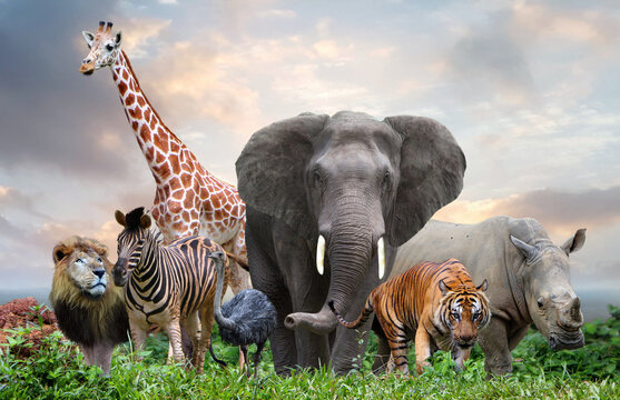 20 Unbelievable Facts About Animals